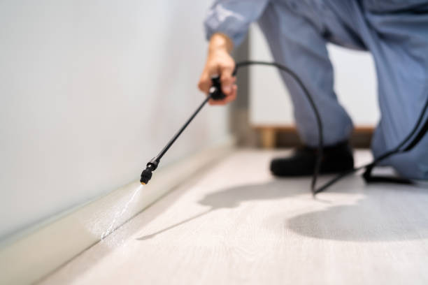 Licensed Mosquito Control service in West Pittston, PA - Show Me Pest Control