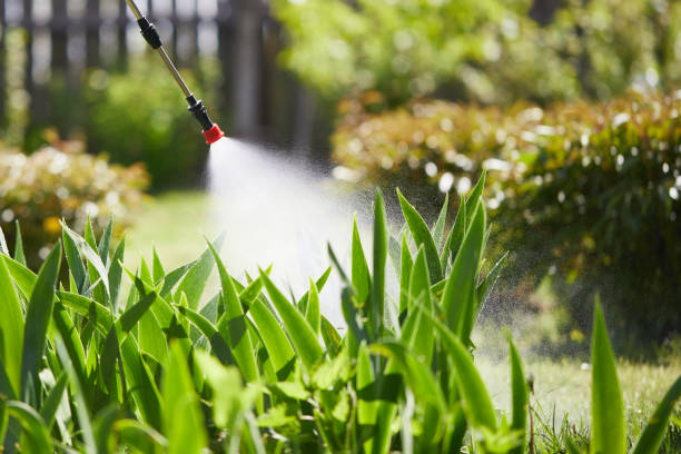 24/7 Emergency Mosquito Control experts in West Pittston, PA