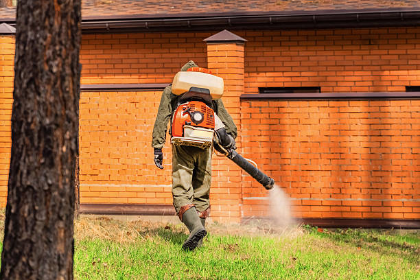 Top rated local Mosquito Control specialists in West Pittston, PA